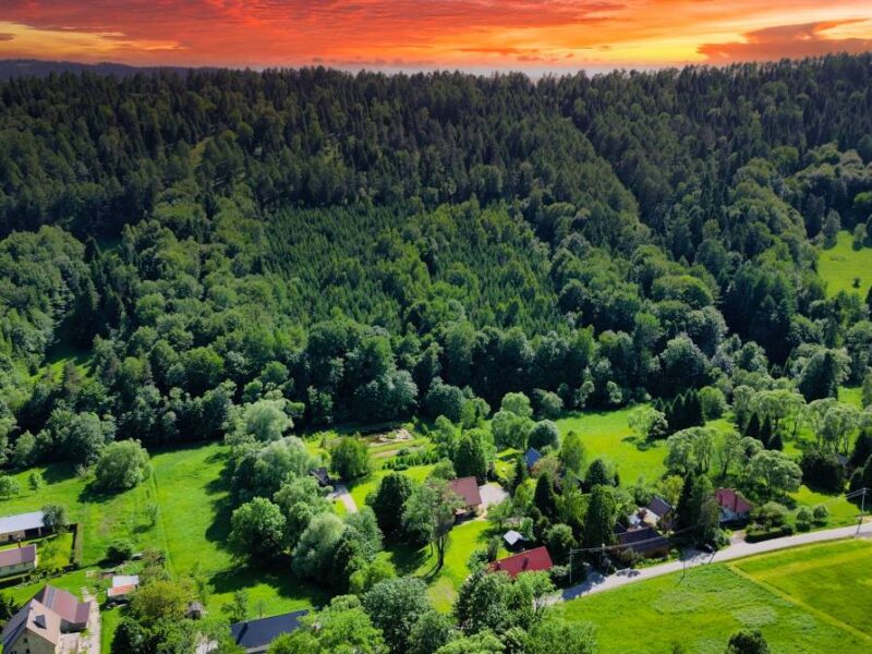 gosciniec pod malym krolem 2025 img (1)