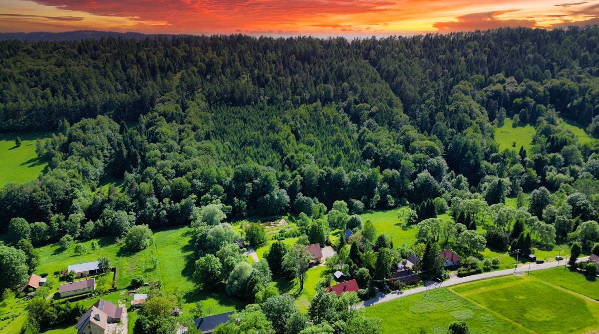 gosciniec pod malym krolem 2025 img (1)