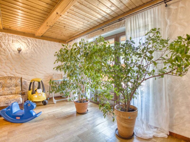 gosciniec pod malym krolem 2025 img (22)