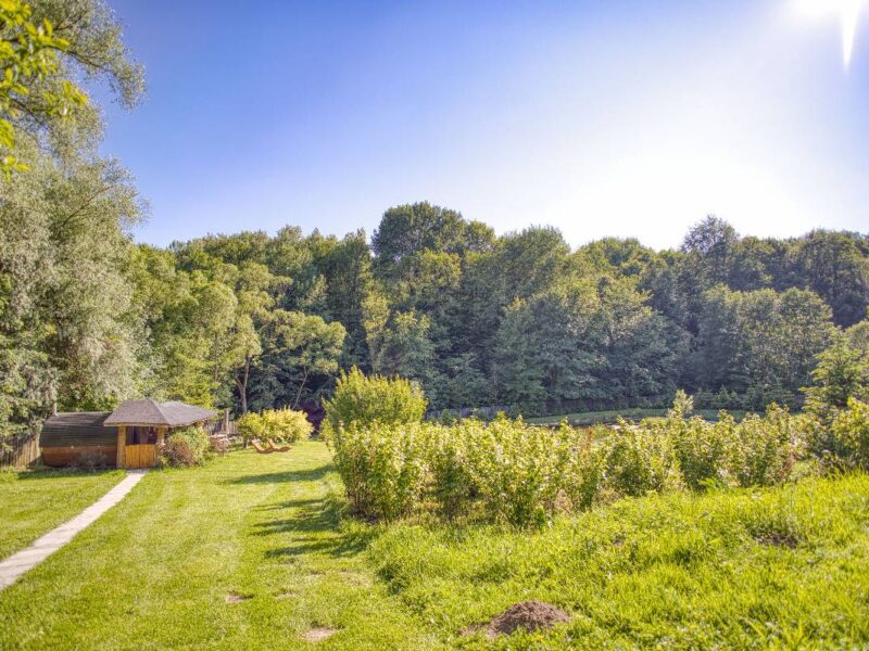 gosciniec pod malym krolem 2025 img (28)