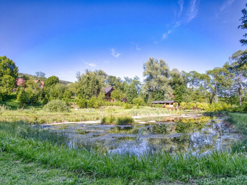 gosciniec pod malym krolem 2025 img (35)