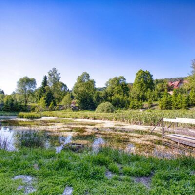 gosciniec pod malym krolem 2025 img (36)