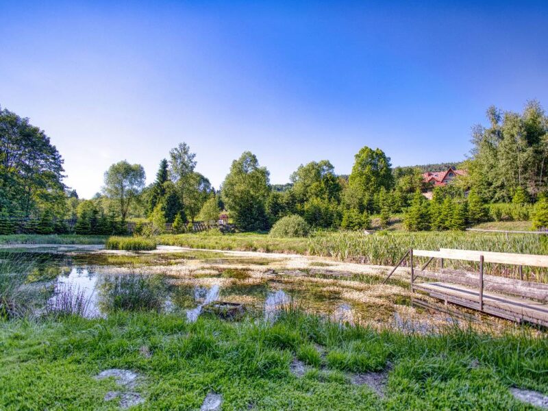 gosciniec pod malym krolem 2025 img (36)