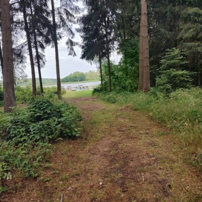 dom w przerwankach img2 (3)