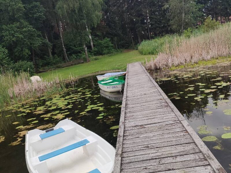 dom w przerwankach img2 (4)