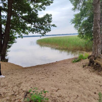 dom w przerwankach img2 (9)