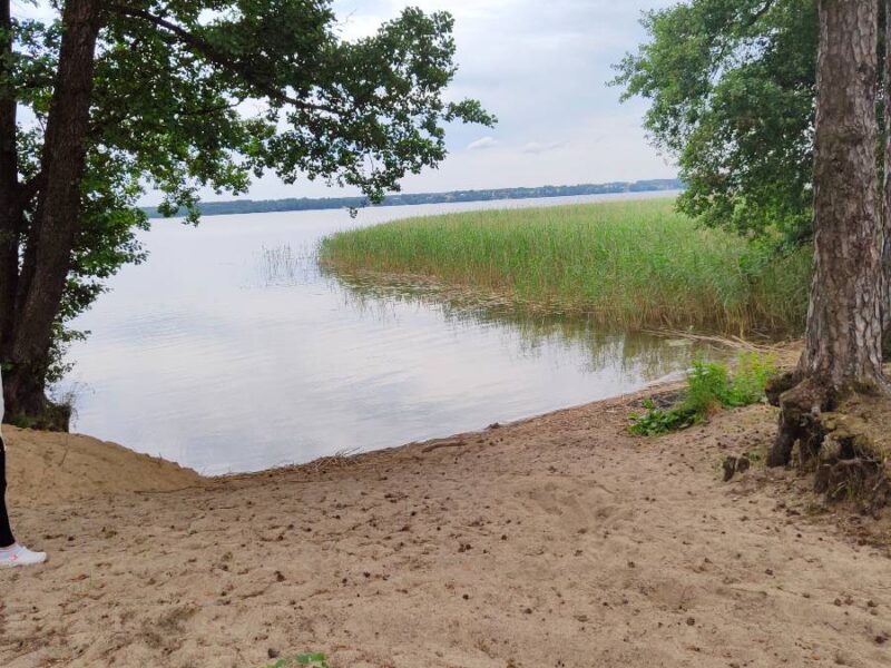 dom w przerwankach img2 (9)