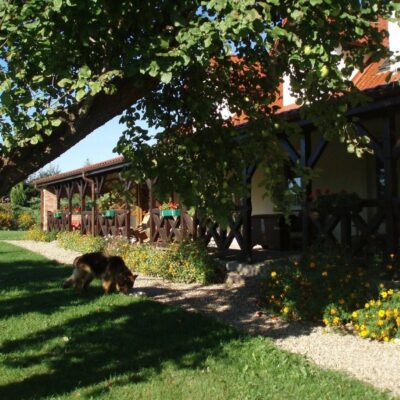 Siedlisko Sabinowo Węgorzewo img (2)