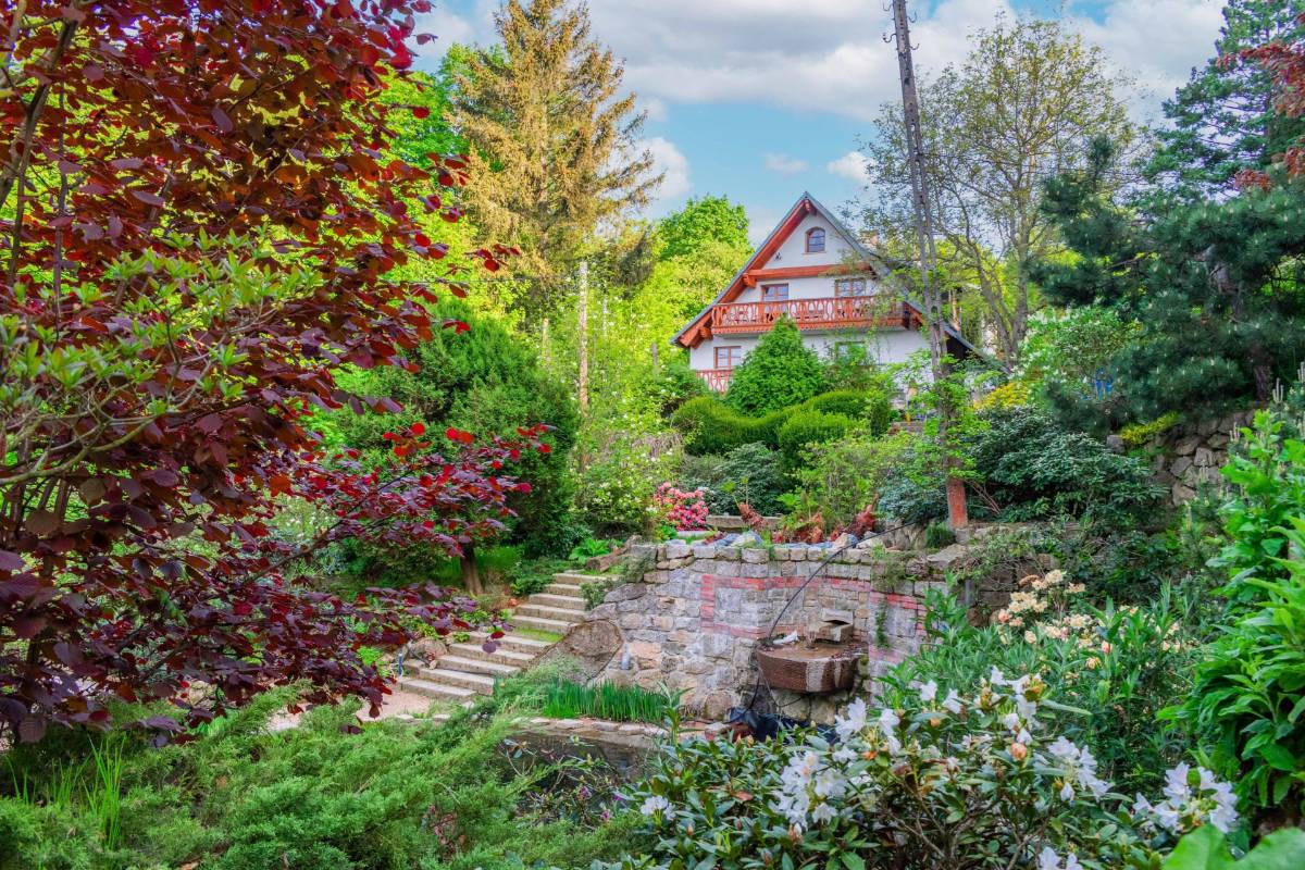 Agroturystyka KUROSIÓWKA img (1)