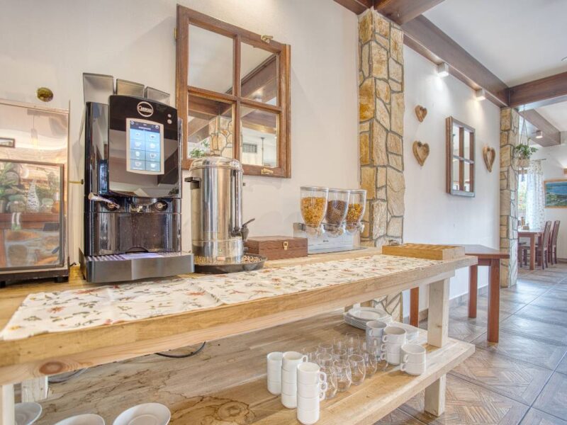 bieszczadzki dworek polanczyk img (16)