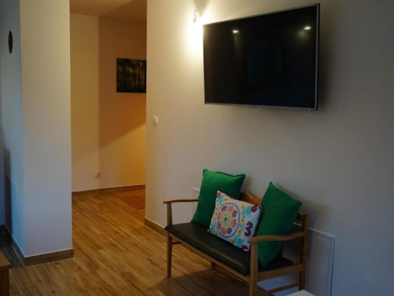 chata bieszczady w smerku img (3)