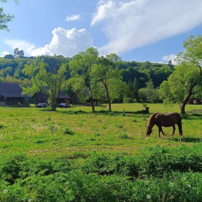 chatka nad osławą img (12)