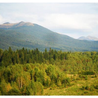 dom caloroczny strzebowiska 2025 img2 (17)