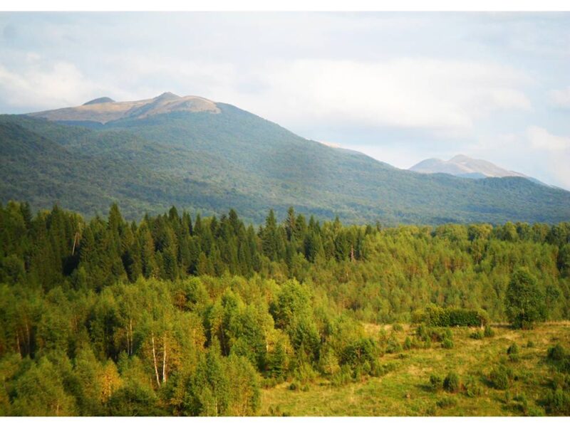 dom caloroczny strzebowiska 2025 img2 (17)