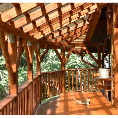 dom caloroczny strzebowiska 2025 img2 (6)