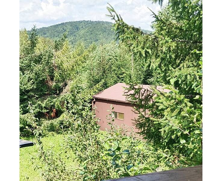 dom caloroczny strzebowiska 2025 img2 (9)