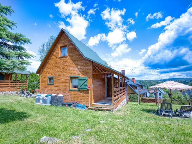 lesny zakatek olchowiec 142 img (17)