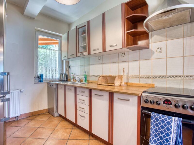 lesny zakatek olchowiec 142 img (5)