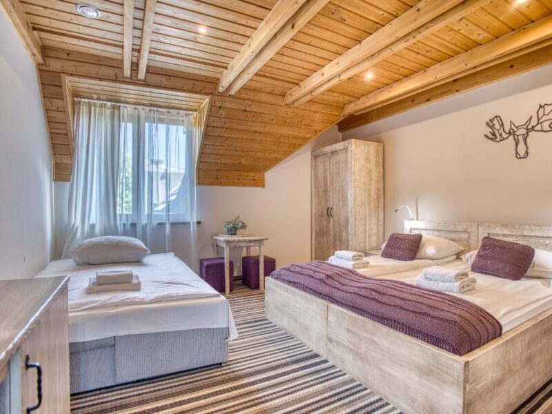 smerek 2 2025 img (27)