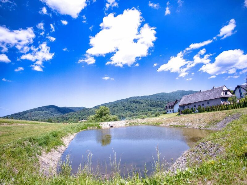 smerek 2 2025 img (38)