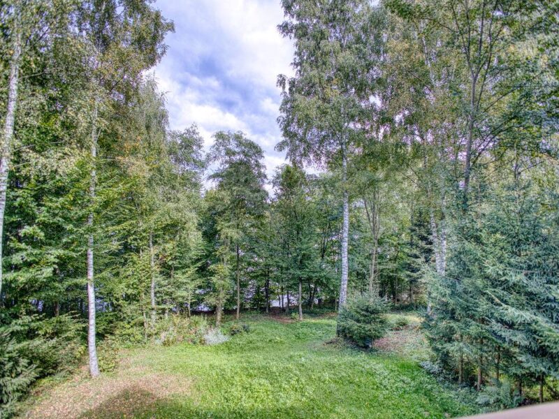 domek nad solina werlas cypel img (19)