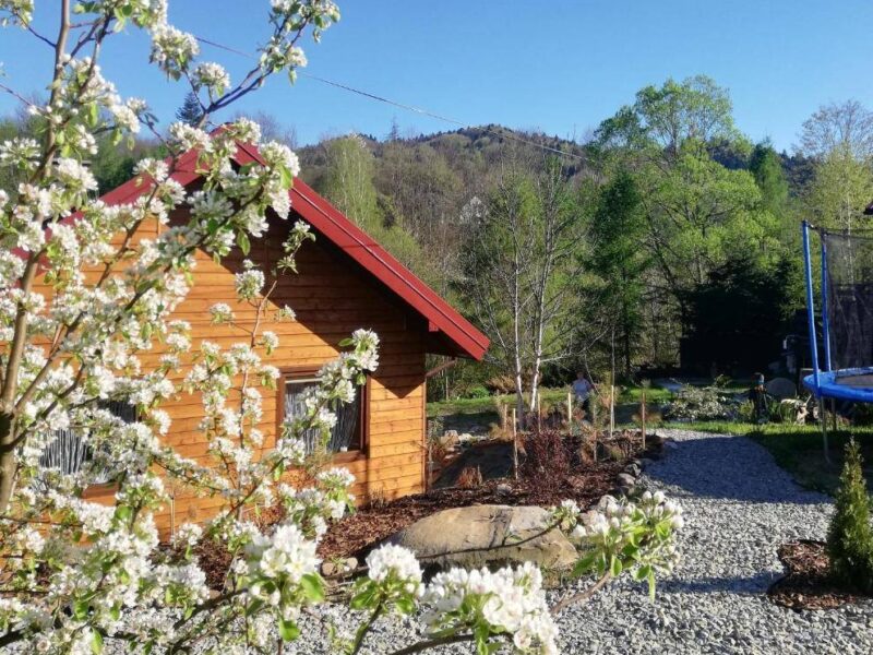 ksiezycowe domki w bieszczadach img (1)