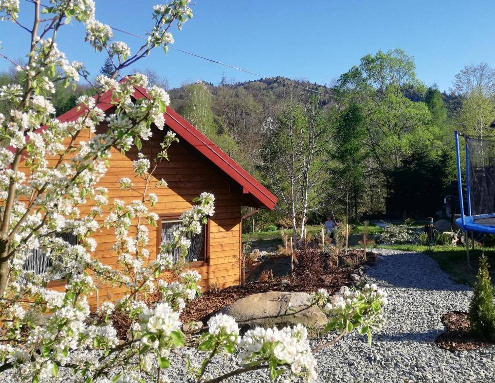 ksiezycowe domki w bieszczadach img (1)