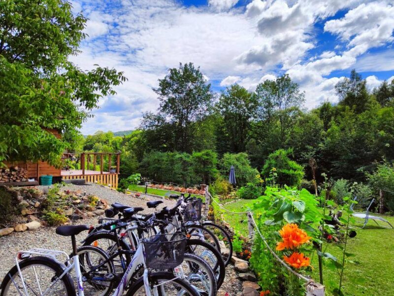 ksiezycowe domki w bieszczadach img (11)