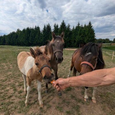 Domek Nad Oczkiem Wodnym img (2)