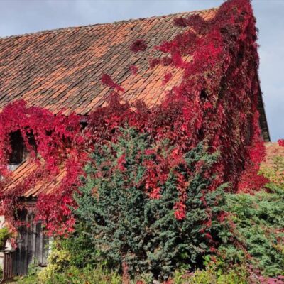 agroturystyka gizycko cisza img (3)