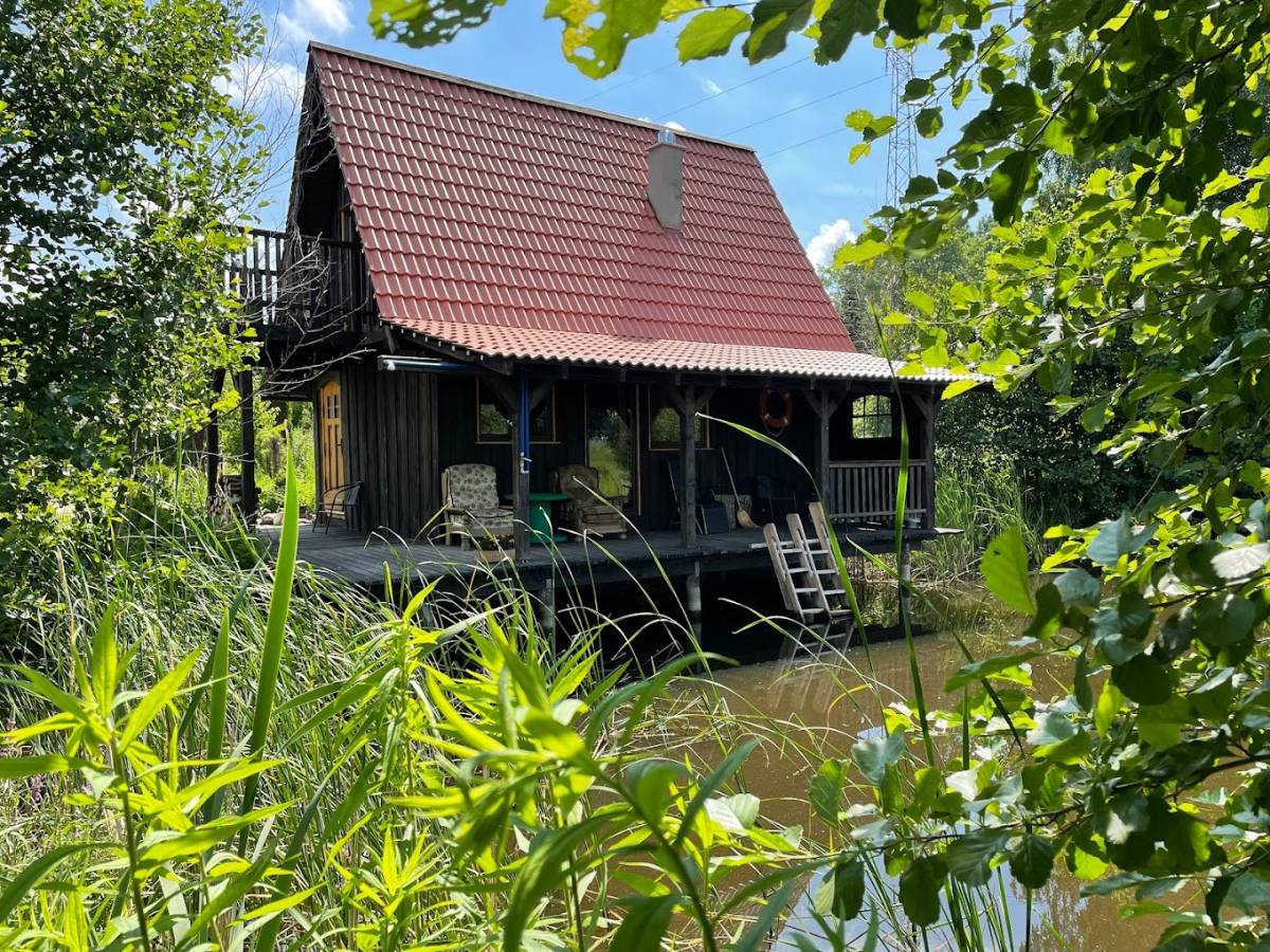 krzewinka domek img (1)