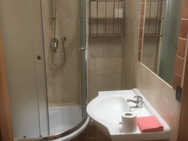 krzewinka pokoje img (1)