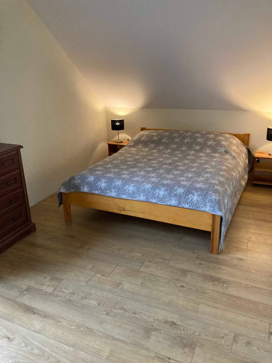 krzewinka pokoje img (1)