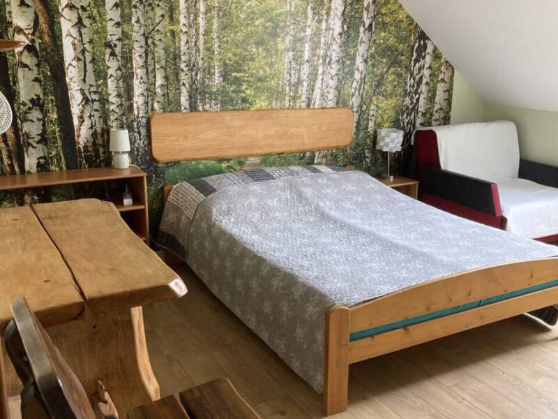 krzewinka pokoje img (2)