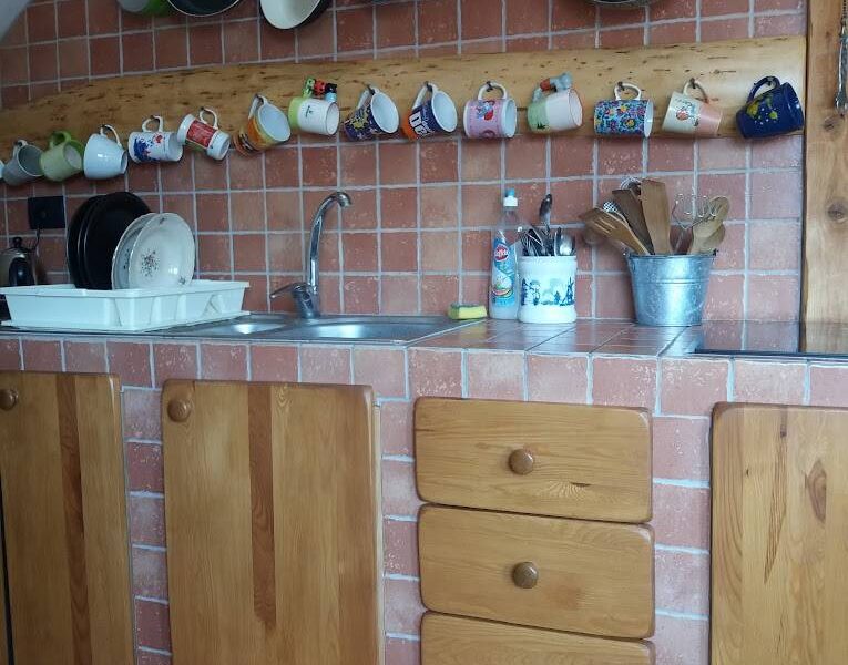 krzewinka pokoje img (3)