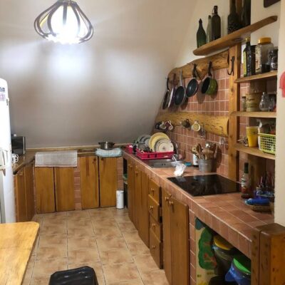 krzewinka pokoje img (4)