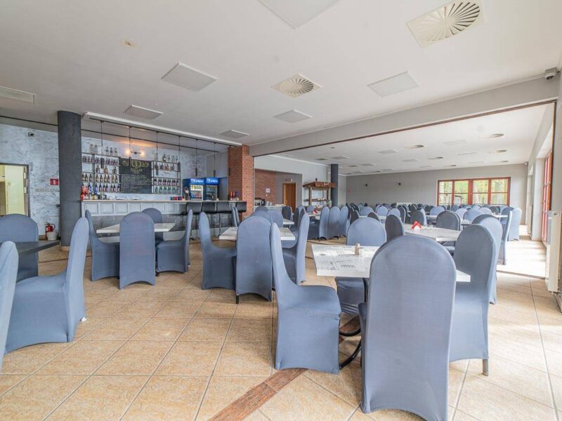 wrzosowa gora img (8)