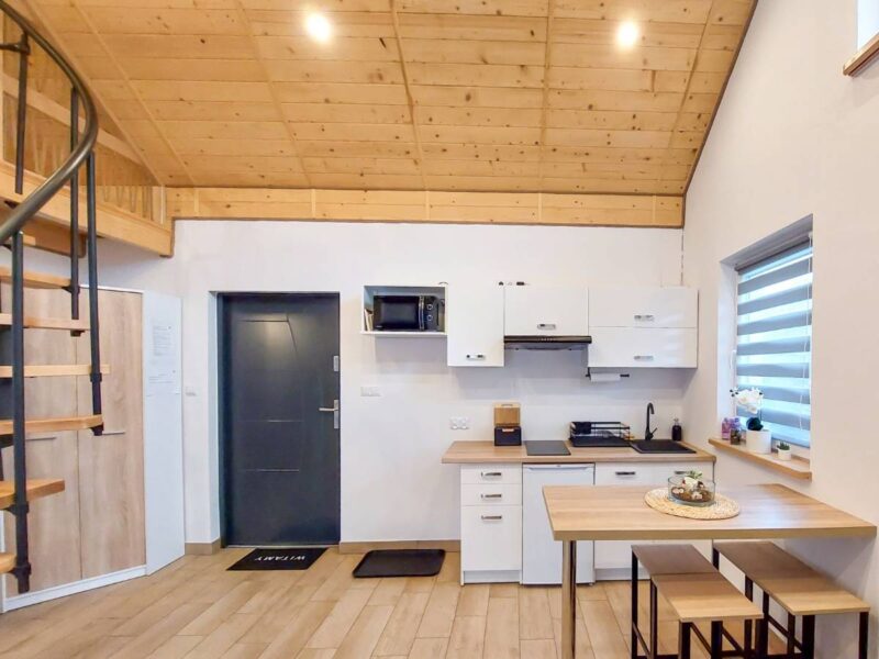 swierkowe wzgorze bieszczady img (10)