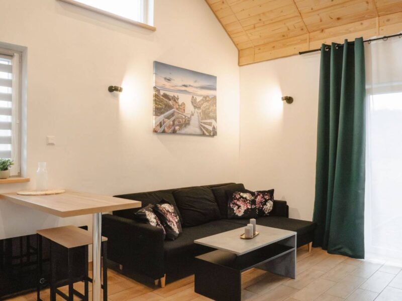 swierkowe wzgorze bieszczady img (12)