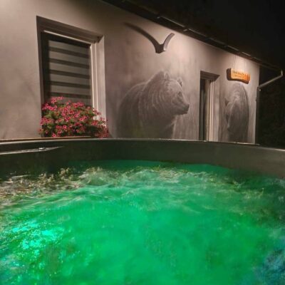 swierkowe wzgorze bieszczady img (15)