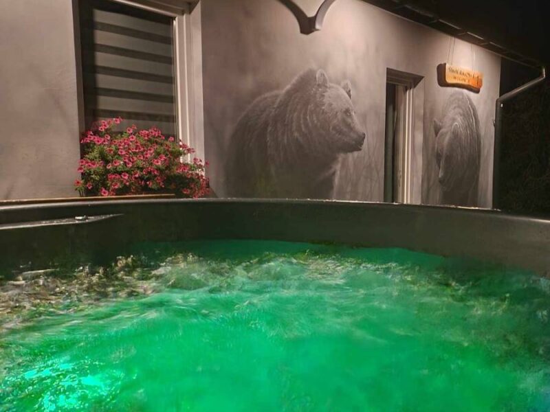 swierkowe wzgorze bieszczady img (15)