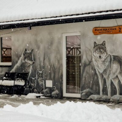 swierkowe wzgorze bieszczady img (16)