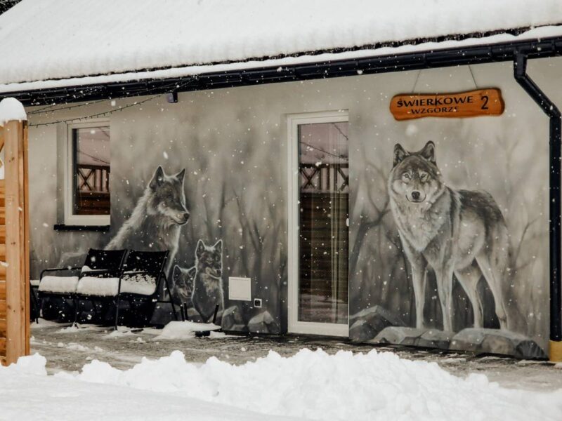 swierkowe wzgorze bieszczady img (16)