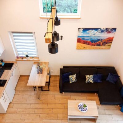 swierkowe wzgorze bieszczady img (6)