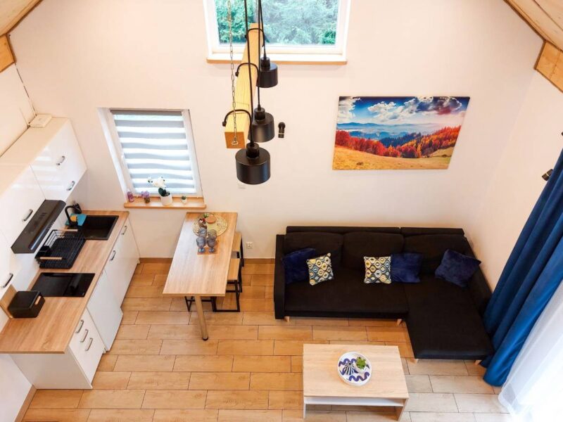 swierkowe wzgorze bieszczady img (6)