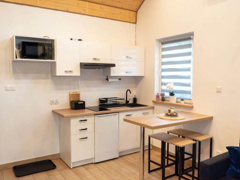 swierkowe wzgorze bieszczady img (9)